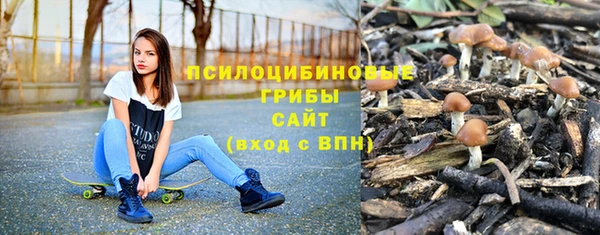 СК Вязники